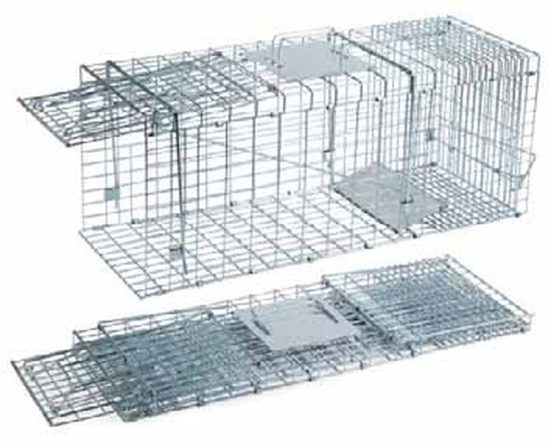 Articulo para mascotas mas vendido