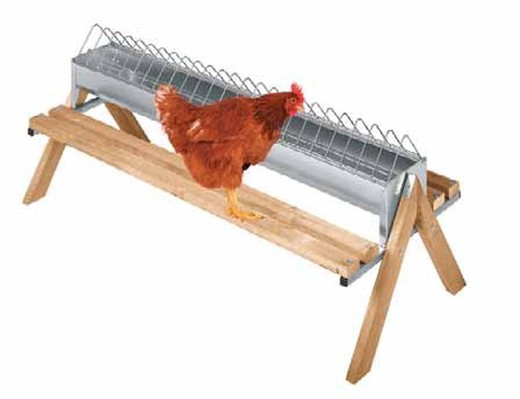 Comedero corral con patas para aves