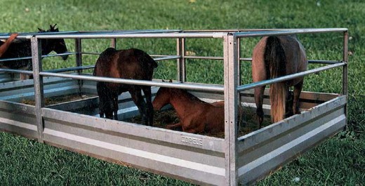 Corral para caballos