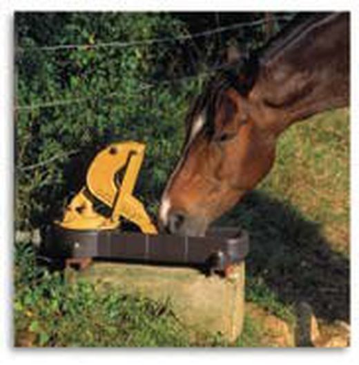 Bebederos para caballos