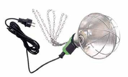 Calefacción para pollitos