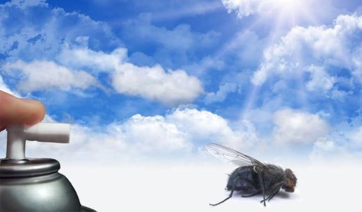 Insecticidas y exterminador de insectos