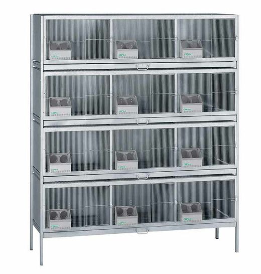 Pelecheros-Jaulas para palomas