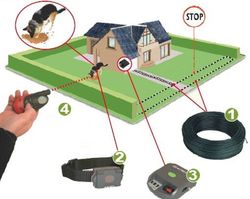 Collar Reflex - Control permanente 100m