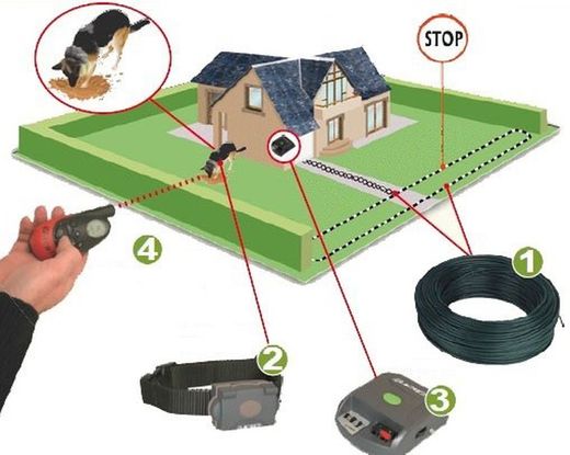 Collar Reflex - Control permanente 100m