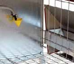 Eco-ponedero completo para 8 gallinas