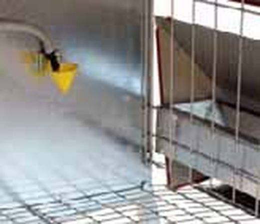 Eco-ponedero completo para 8 gallinas