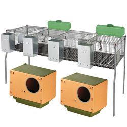 Jaula de 4 departamentos suelo plastico y 2 nidos