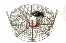 Jaula de captura para palomas