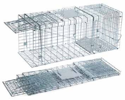 Jaula de captura plegable para gatos