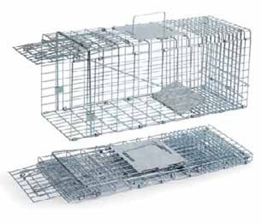 Jaula de captura plegable para gatos