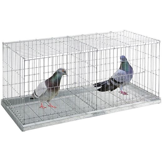 Jaula de exposición con 2 departamentos para palomas