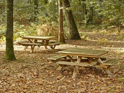 Mesa de picnic - CARRA - Adaptado para 8 personas