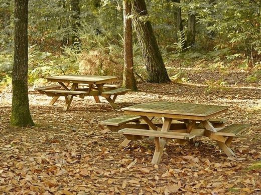 Mesa de picnic - CARRA - Adaptado para 8 personas