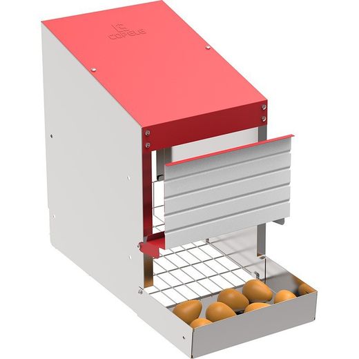 Ponedero 1 departamento para 3 gallinas