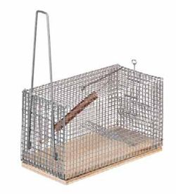 Ratonera grande con trampilla de presión