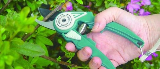 Tijera de podar - claidad expert - ø 16mm